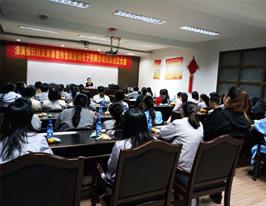 淡溪鎮(zhèn)首個(gè)“兩新組織”婦聯(lián)在我公司成立